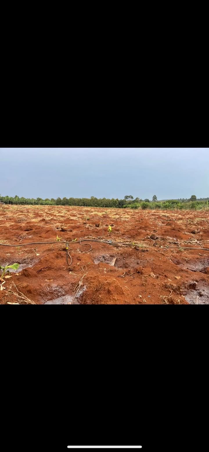 Đất vườn Gia Tân 3, Thống Nhất 3600m² giá 680 triệu - Sổ đỏ chính chủ!