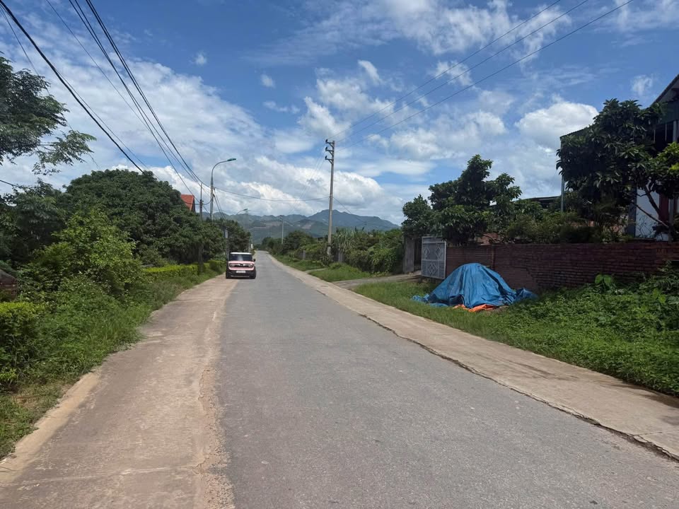 Đất CLN trục chính asphalt An Sinh 5908m² - Tiềm năng sinh lời cao!