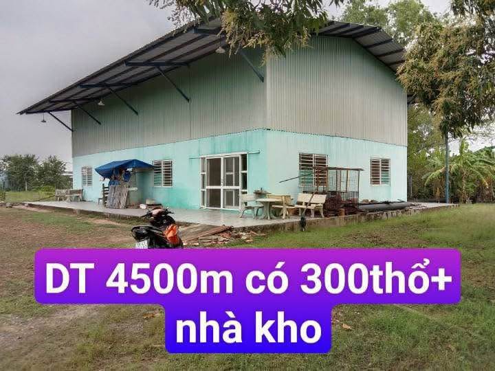 Kho xưởng Bình Chánh 4500m² giá 20 tỷ - Đường xe tải 6 tấn thuận lợi!