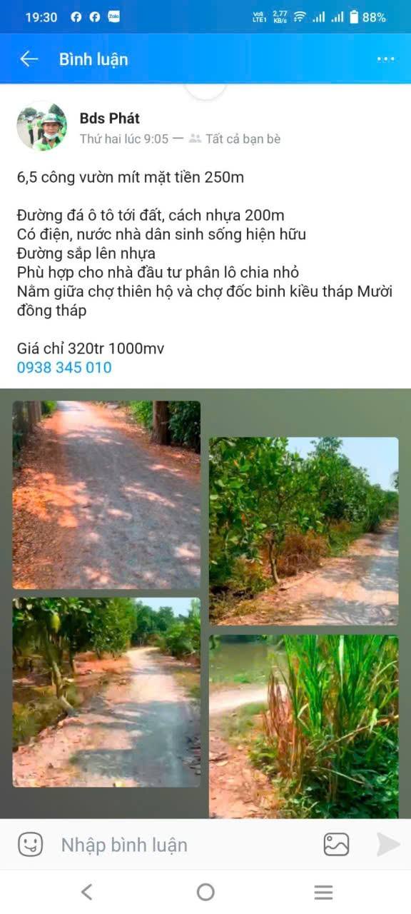 Đất vườn Đốc Binh Kiều, Tháp Mười 1000m² - Giá chỉ 300 triệu, phân lô dễ dàng!