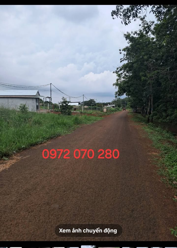 Đất nền Phước Sơn Bù Đăng 5000m² chỉ 400 triệu - Cơ hội đầu tư hấp dẫn!