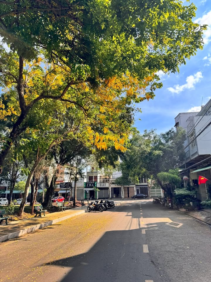 Nhà phố Hoàng Văn Thụ, Buôn Ma Thuột 114m² giá 11,2 tỷ - Địa điểm kinh doanh lý tưởng!