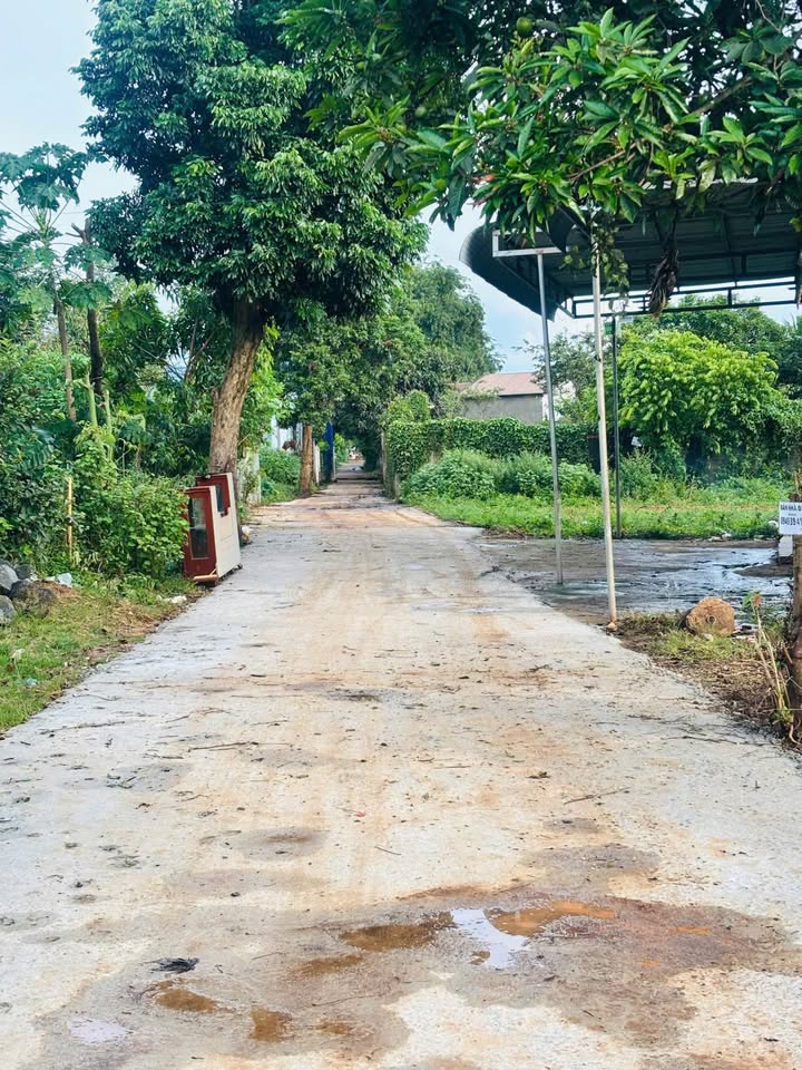 Đất Thổ Cư Phường Ea Kao 120m² giá 1.08 tỷ - Đầu tư sinh lời ngay!