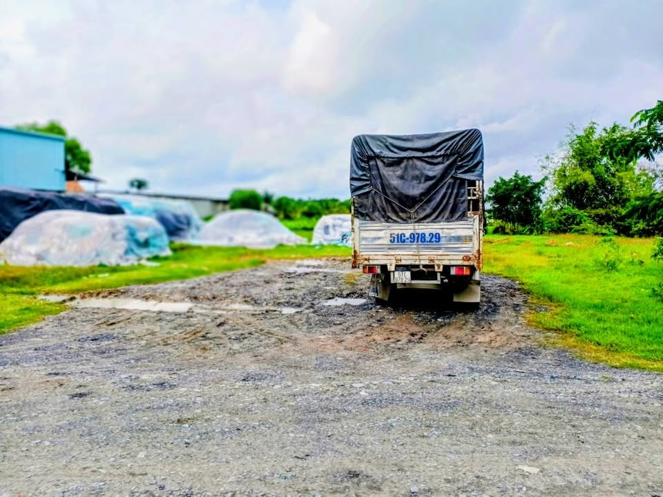 Kho xưởng đường Tỉnh Lộ 9, xã Mỹ Hạnh 1980m² giá 8 tỷ - Tiềm năng đầu tư lớn!