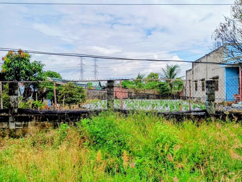 Kho xưởng 1040m² tại Mỹ Hạnh, Đức Hòa chỉ 8 tỷ - Đầu tư sinh lời ngay!