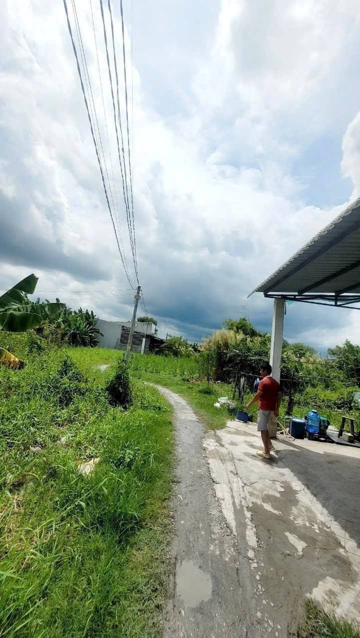 Đất thổ cư 51691m² tại Ấp Phước Hưng, Cần Giuộc - Giá chỉ 530 triệu, ô tô vào tận nơi!