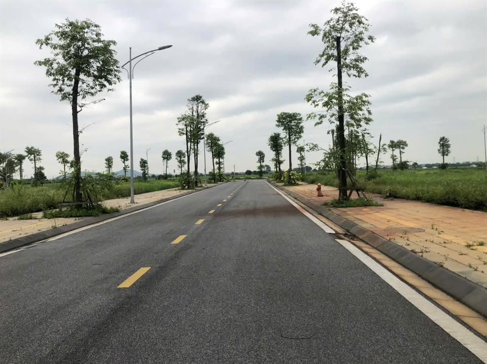 Đất nền AMDI Việt Đoàn 100m² giá 3.3 tỷ - Hướng nam mát mẻ!