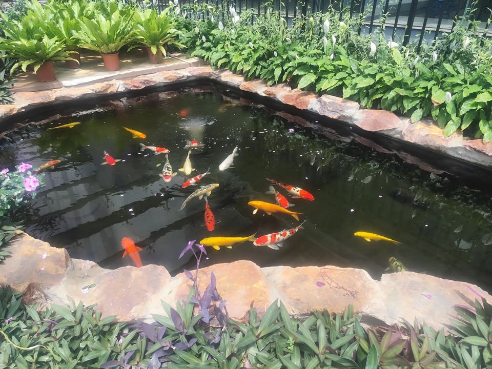 Đất thổ cư Hẻm 46 Nguyễn Kiệm 175m² giá 500 triệu - Pháp lý rõ ràng, sẵn sàng công chứng!