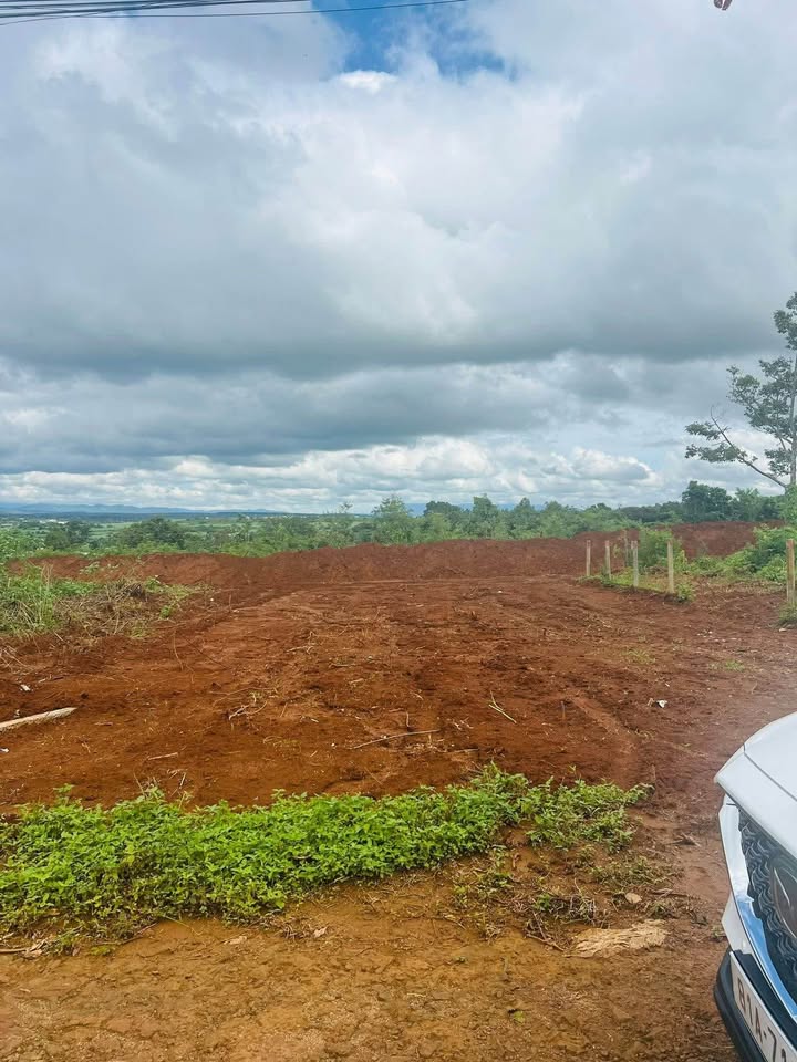 Đất nền Bùi Dự Pleiku 150m² giá 1.2 tỷ - Tiềm năng đầu tư lớn!