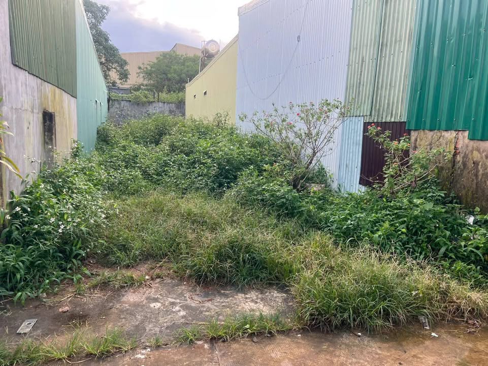 Đất nền đẹp phường Hội Phú 110m² - Giá tốt, sẵn sàng đầu tư!