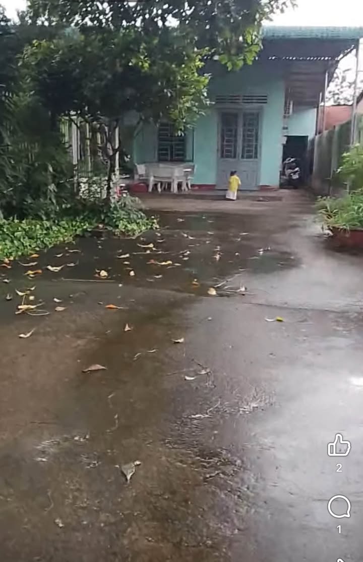 Nhà bán gấp tại xã Phú Bình, Tân Phú, Đồng Nai - Diện tích 300m², giá 1.1 tỷ!