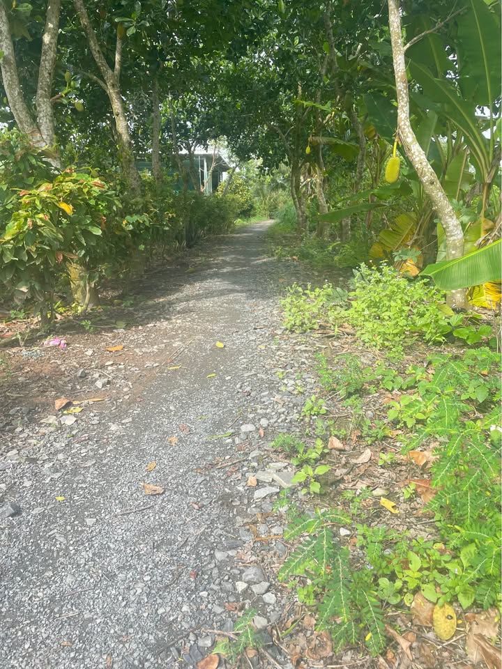 Đất nền Tân Dương 191m² giá 280 triệu - Sổ đỏ chính chủ, thương lượng ngay!