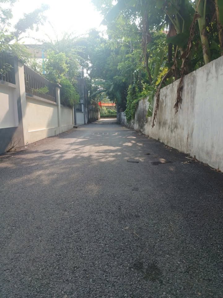 Đất nền thôn Cẩm Viên, xã Đại Tự, 106m² chỉ 1.6 tỷ - Giá quá tốt cho nhà đầu tư!