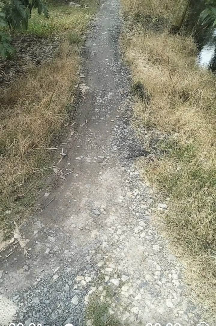 Đất Farm 2500m² tại Thới Ngươn A, Ô Môn - Giá chỉ 820 triệu!