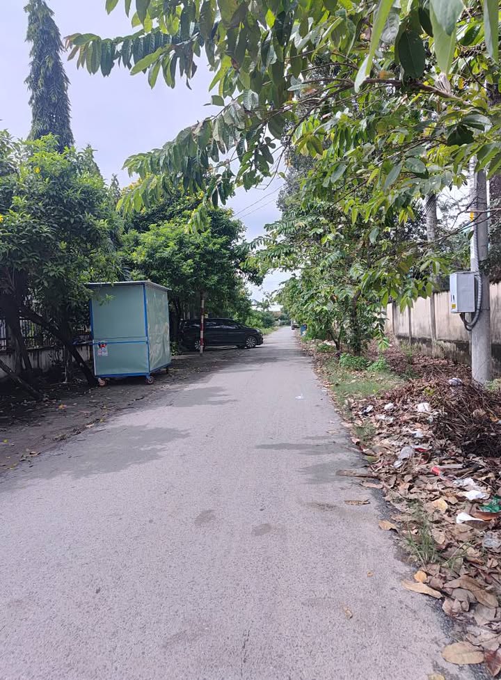 Đất nền Tân Thạnh Đông Củ Chi 257m² giá 3 tỷ - Đầu tư sinh lời hấp dẫn!