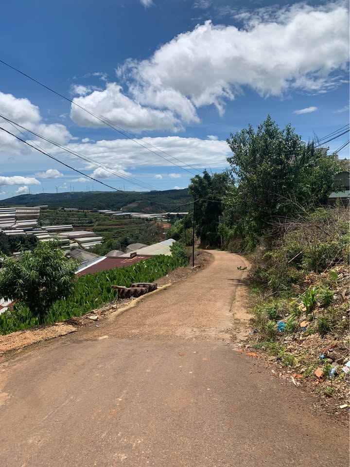 Lô đất 1000m² tại Xuân Thọ, Đức Trọng giá 2.5 tỷ - Sổ đỏ chính chủ!