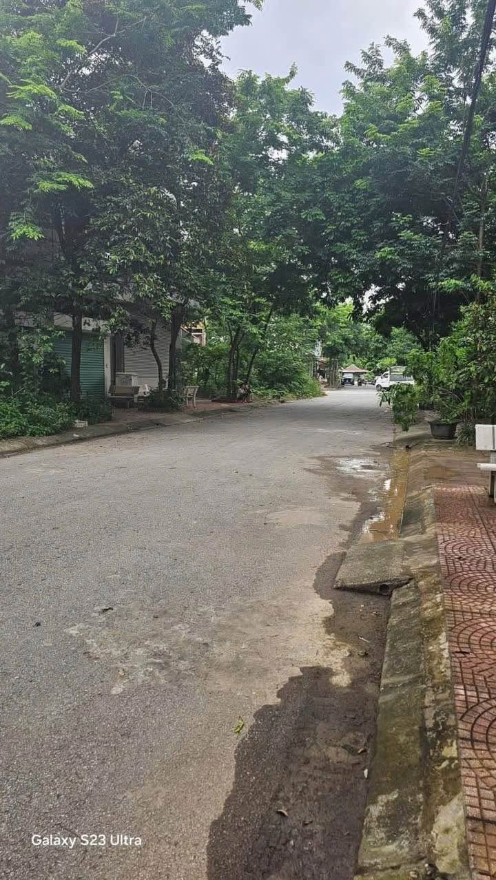 Lô đất Trang Hạ, Từ Sơn 110m² giá chỉ 6 tỷ - Cơ hội vàng cho nhà đầu tư!