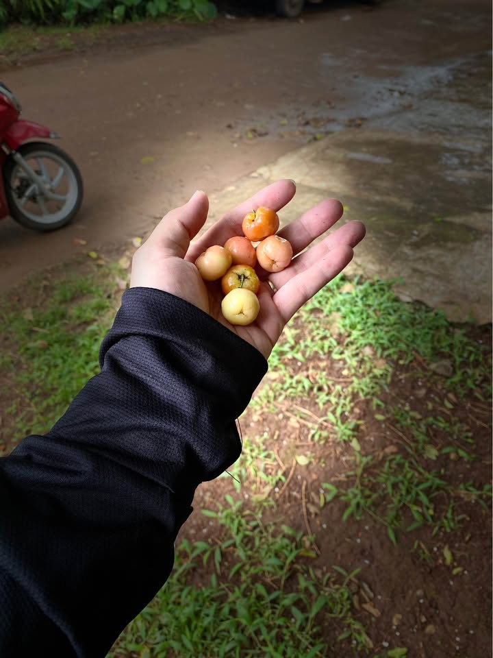 Đất mặt tiền đường nhựa Hoà Thắng, Buôn Ma Thuột 150m² giá 1.15 tỷ - Vị trí đắc địa gần sân bay!