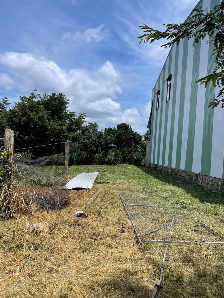 Đất thổ cư Đường C, xã Cư Êbur 150m² giá 1.55 tỷ - Hẻm ô tô rộng rãi