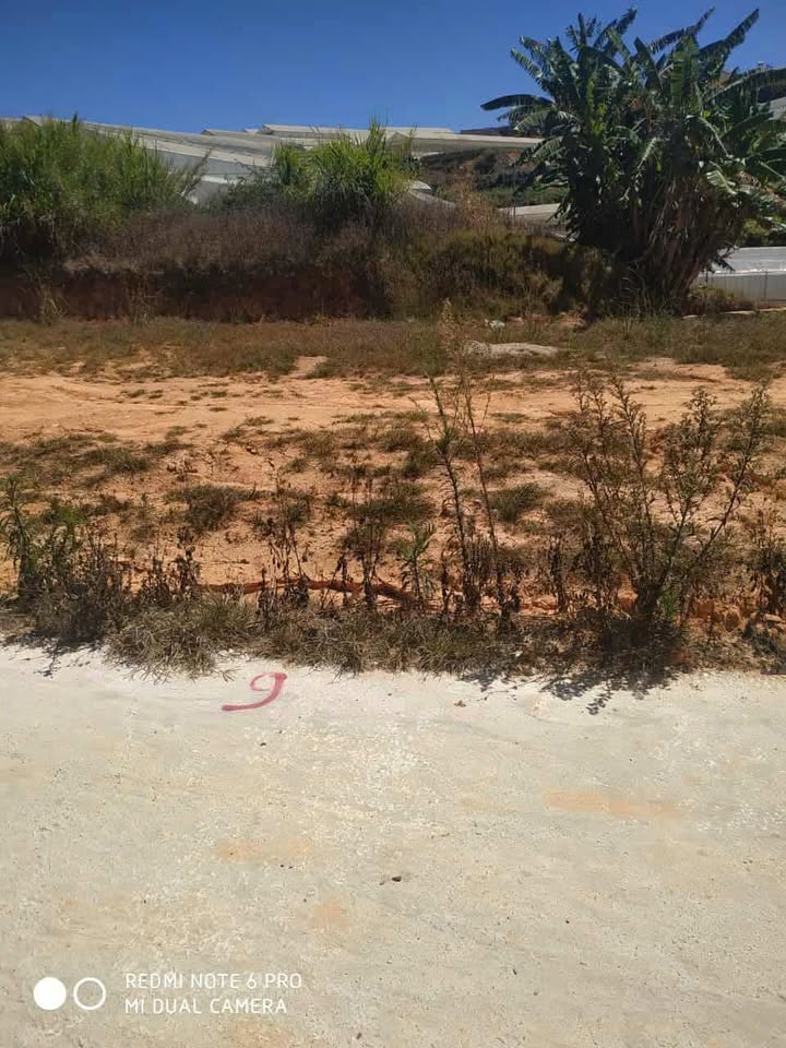 Đất nền Đà Lạt 73m² giá 1 tỷ - Pháp lý rõ ràng, sẵn sàng giao dịch!