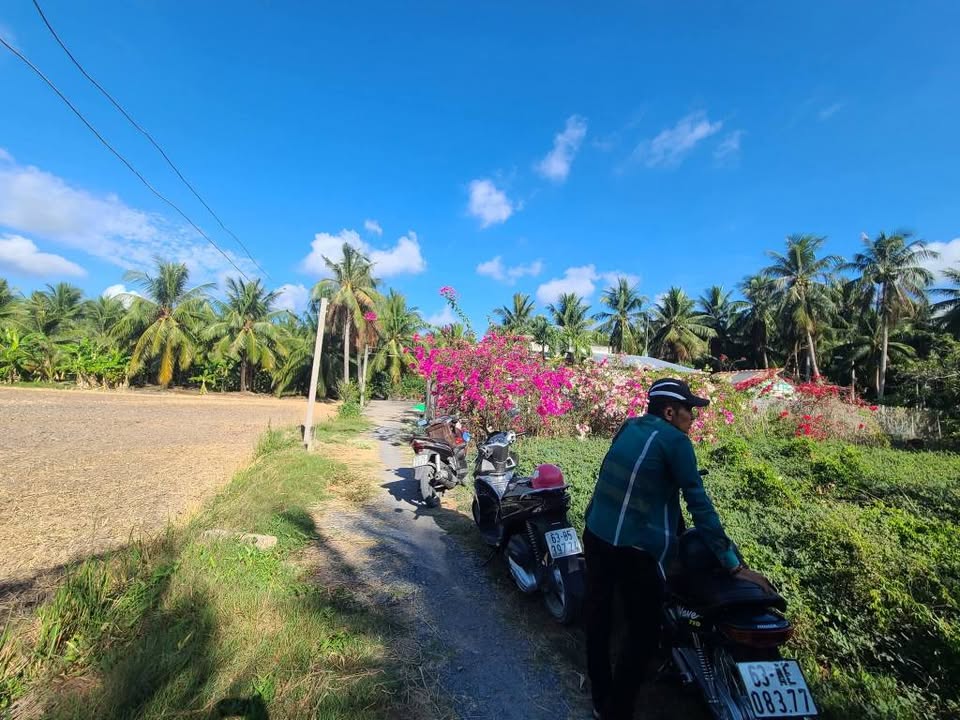 Đất nền Ấp Thạnh Thới, xã Vĩnh Hựu, Gò Công Tây 347m² giá 290 triệu - Sổ đỏ chính chủ!