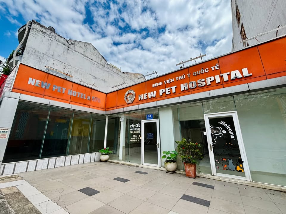 Nhà cho thuê đẹp tại Đặng Dung, P. Tân Định, Q1 - Diện tích 300m², Thích hợp cho nhiều mô hình kinh doanh!