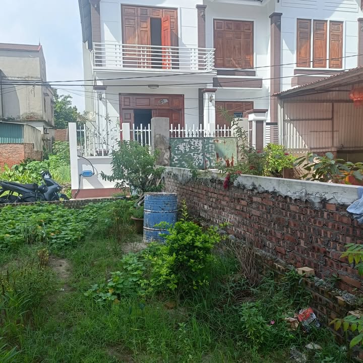 Đất nền Khu phố Mãn Xá Tây, Thuận Thành 80.8m² giá chỉ 3 tỷ - Đầu tư sinh lời!