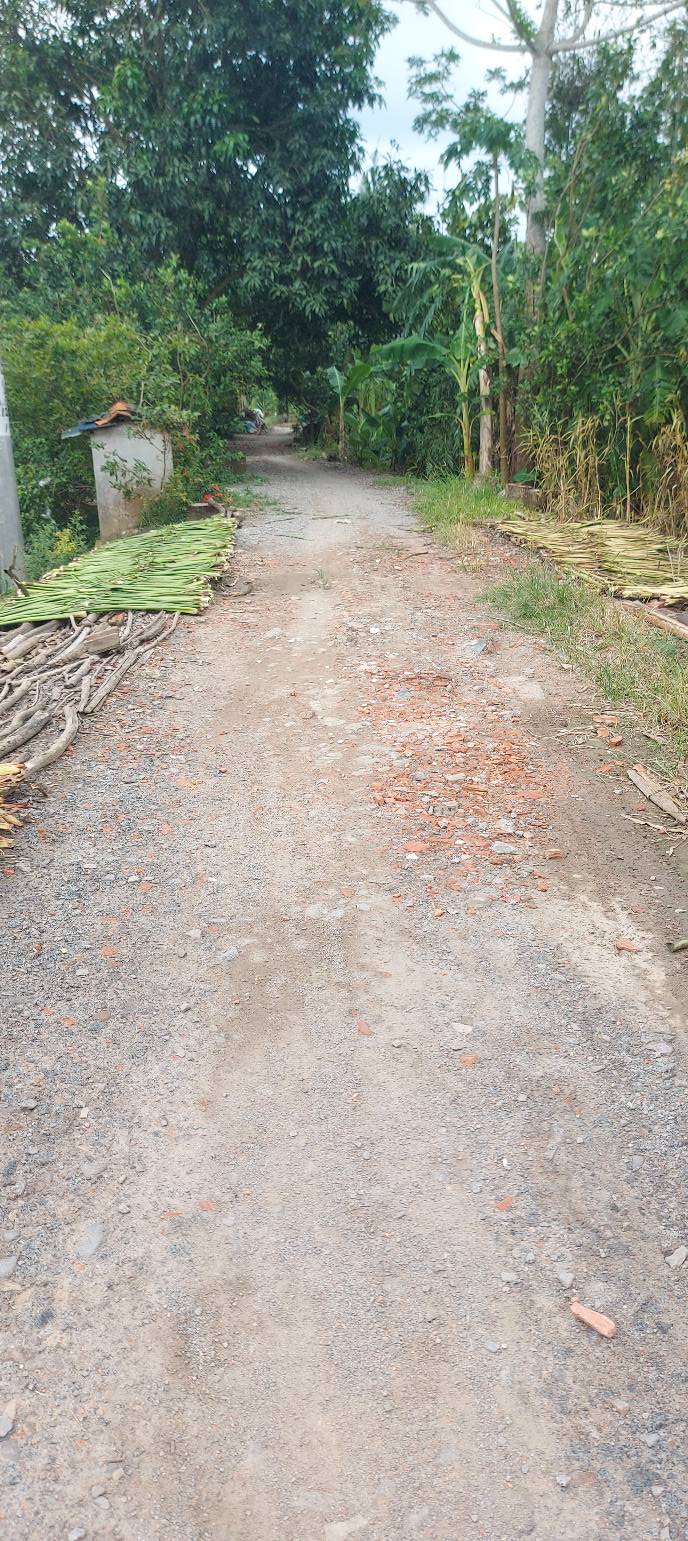 Đất nền 2342m² tại phường Mỹ Ngãi, Đồng Tháp - Hướng phát triển lý tưởng!