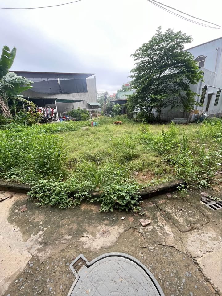 Đất nền liền kề 5 nền tại phường 5, Mỹ Tho - Giá chỉ 1 tỷ/nền, thương lượng chính chủ!