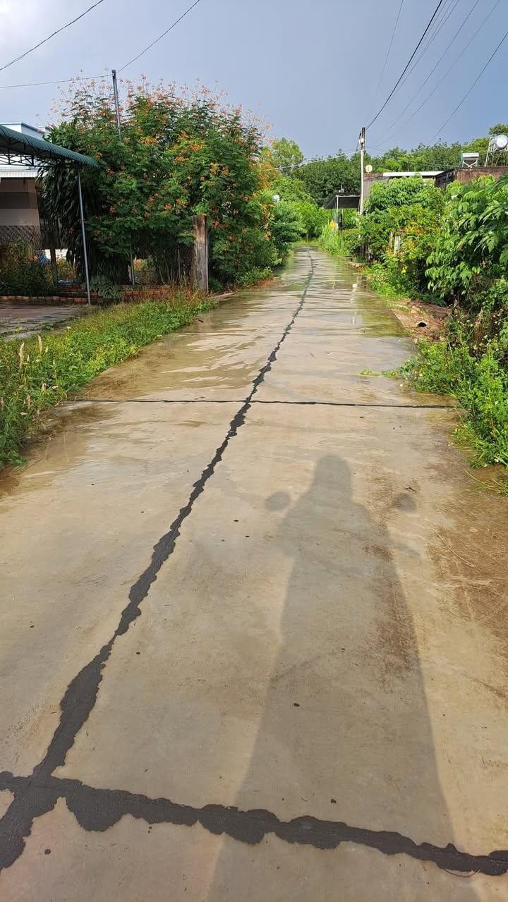 Đất nền thôn 6, xã Nam Chính, 500m² giá chỉ 600 triệu - Cơ hội đầu tư tuyệt vời!