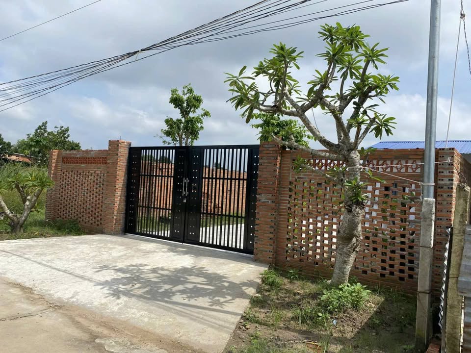 Nhà đất Thạnh Nghĩa Tân Châu 500m² giá 1.3 tỷ - Sẵn sàng vào ở ngay!