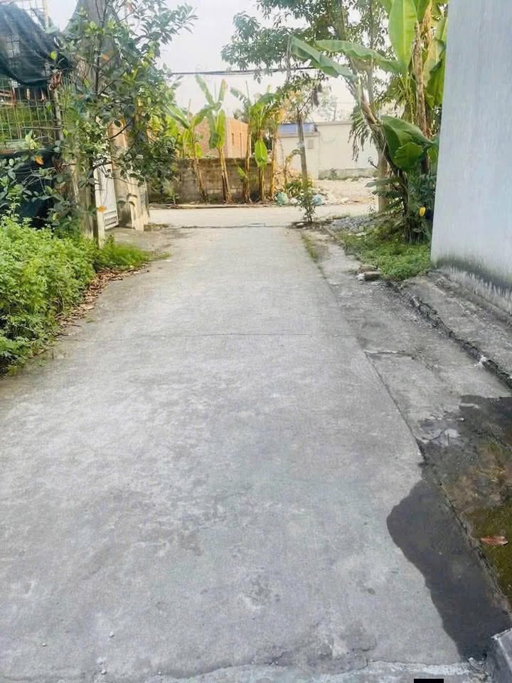 Đất nền Thủy Đường, Hải Phòng 99m² giá 2 tỷ - Vị trí đắc địa, đầu tư sinh lời!