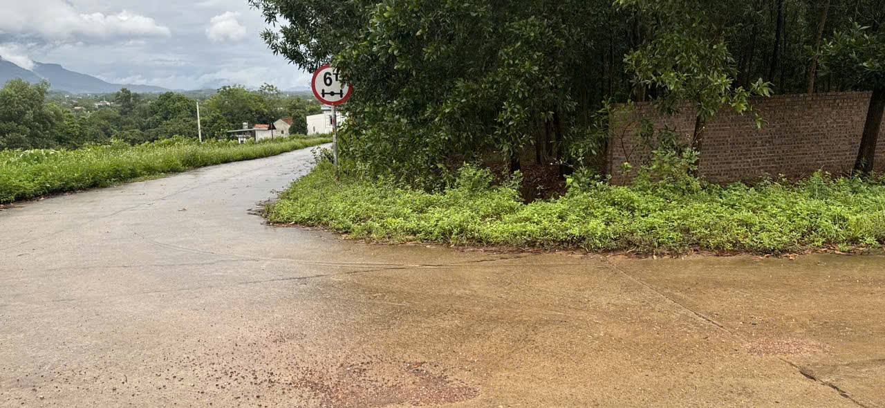 Đất Farm Cẩm Lĩnh Ba Vì 3.400m² giá 2 tỷ - Cơ hội đầu tư sinh lời!