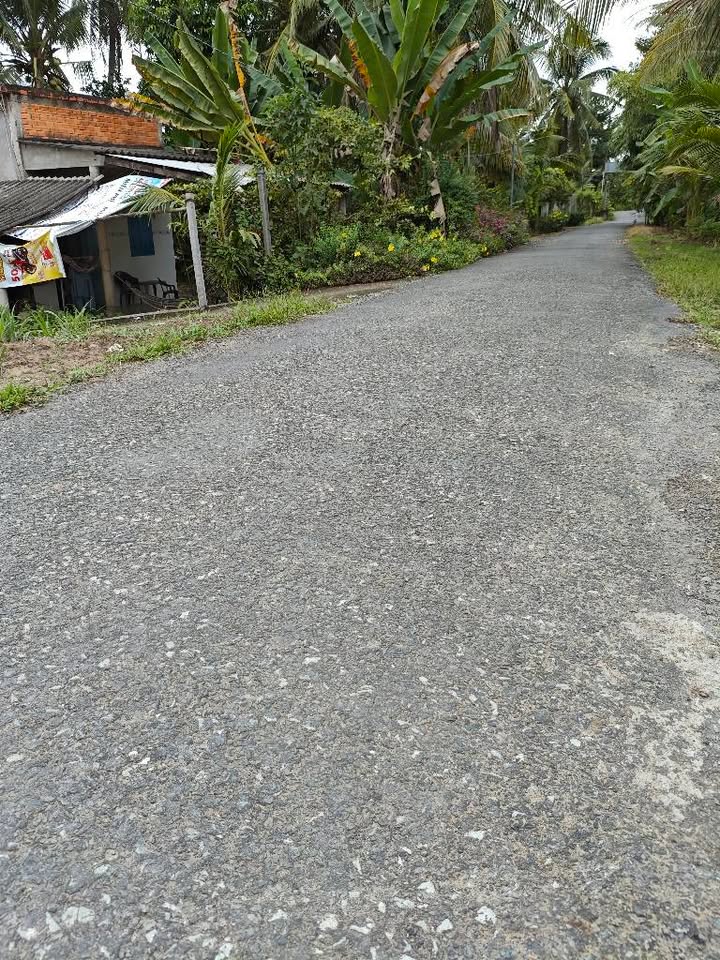 Đất nền Tân Long Mang Thít 90m² giá chỉ 265 triệu - Mặt tiền đường nhựa ô tô!