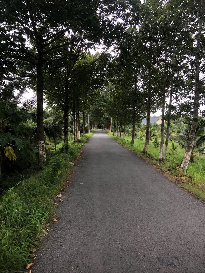 Đất nền mặt tiền 414m² xã Vang Quới Tây - Đất thổ cư, giá chỉ 600 triệu!