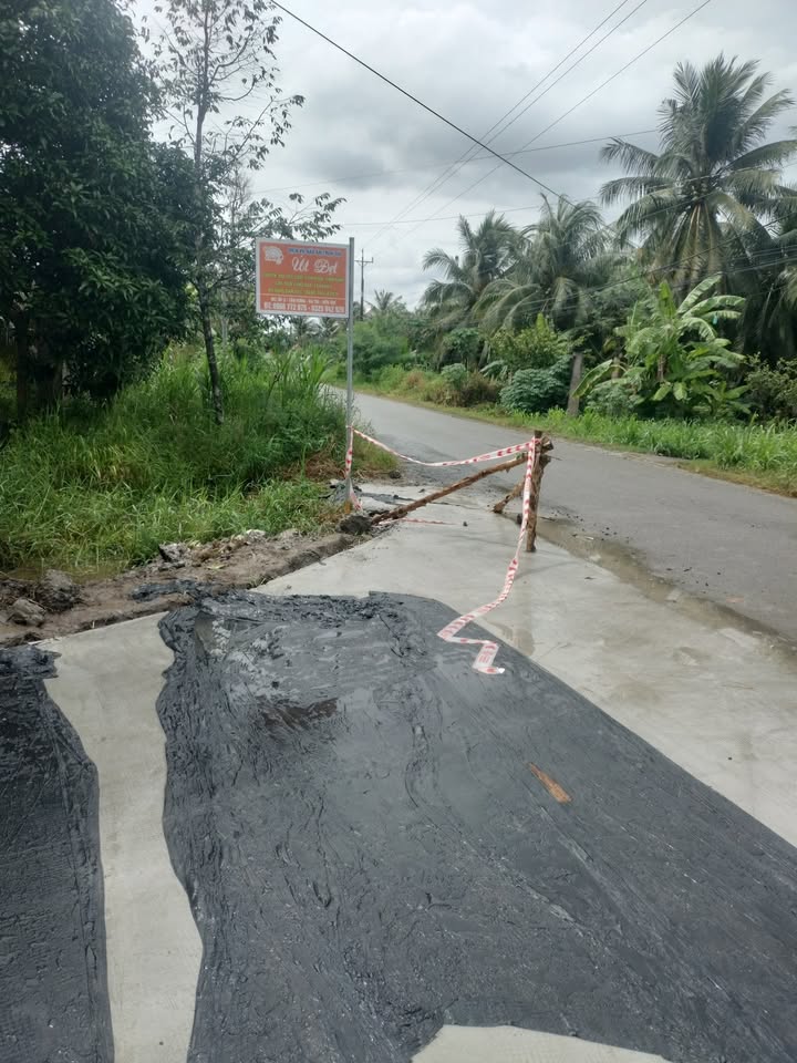 Đất vườn dừa 8 công xã An Ngãi Tây, Ba Tri, Bến Tre giá 2 tỷ - Sổ hồng chính chủ!