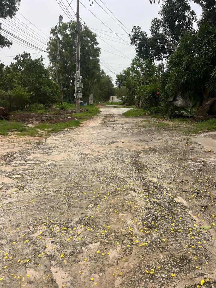 Đất mặt tiền đường Trưng Nhị, La Gi, Bình Thuận 1641m² - Cơ hội đầu tư tiềm năng!