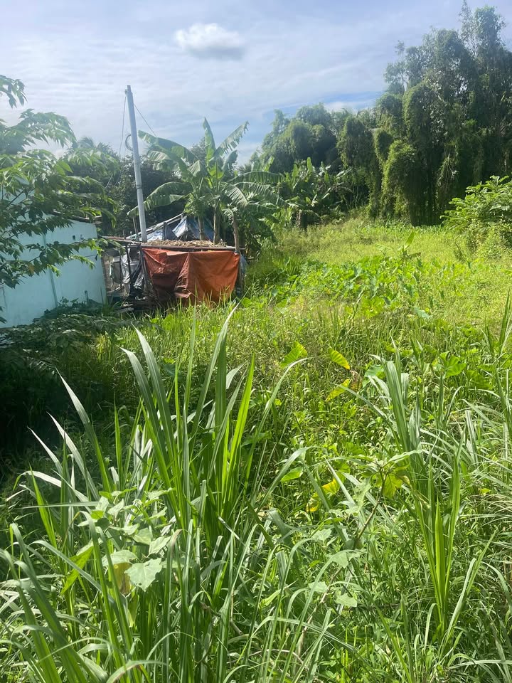 Đất nền Phú Thịnh, Tam Bình, Vĩnh Long 180m² giá 200 triệu - Đầu tư sinh lời ngay!