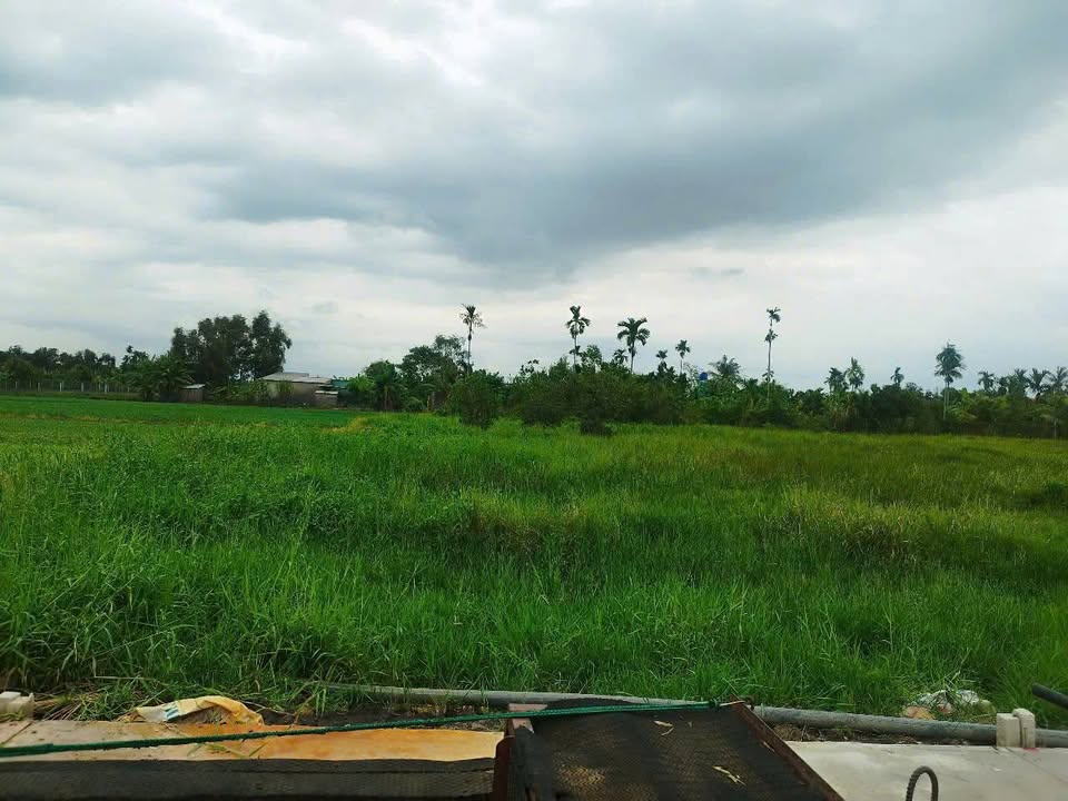 Đất nền Củ Chi 110m² giá 1.65 tỷ - Xây dựng tự do, đường xe hơi