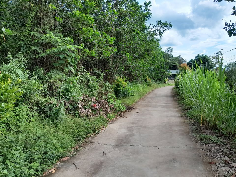 Đất nền diện tích 2577m² tại Đức Phổ, Cát Tiên - Giá hấp dẫn chỉ 90.195 tỷ!