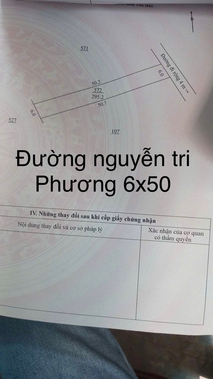 Lô đất mặt tiền Nguyễn Tri Phương, 300m² giá 1.2 tỷ - Cơ hội đầu tư tuyệt vời!