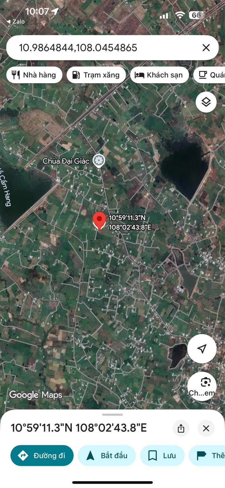 Đất thổ cư 300m² và 880m² cây lâu năm tại Thôn Đại Lộc, Hàm Thuận Bắc - Giá chỉ 1.05 tỷ VND, thương lượng nhẹ!