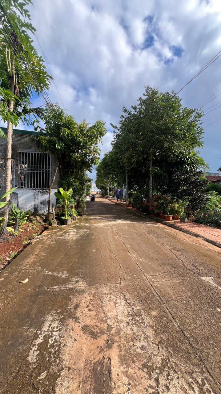 Bán đất 19/5 Phường Ea Kao 107m² giá 1.75 tỷ - Đầu tư sinh lời ngay!