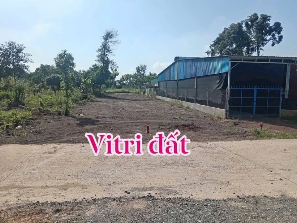 Đất nền khu phố 12, Minh Hưng, Chơn Thành 250m² - Mặt tiền đường thông dân đông!