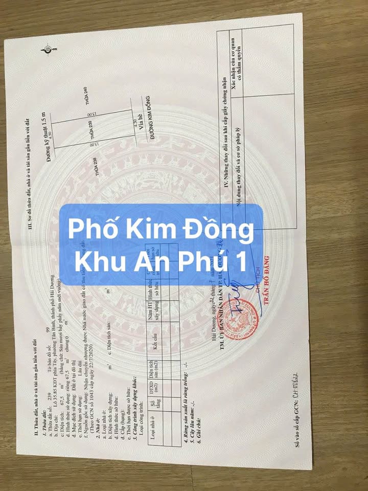 Đất nền đường Kim Đồng Hải Dương 67.5m² giá 3 tỷ - Vị trí đẹp, tiện ích đầy đủ!