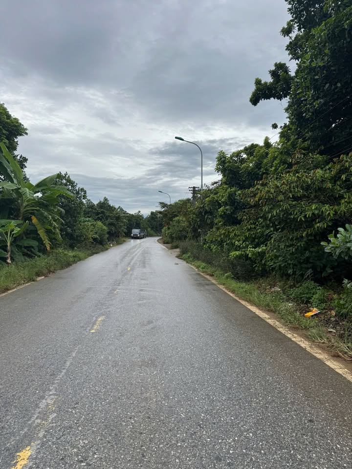 Đất nền kinh doanh khu phố 8 xã Phú Hộ 175m² giá 1.6 tỷ - Cơ hội đầu tư tuyệt vời!