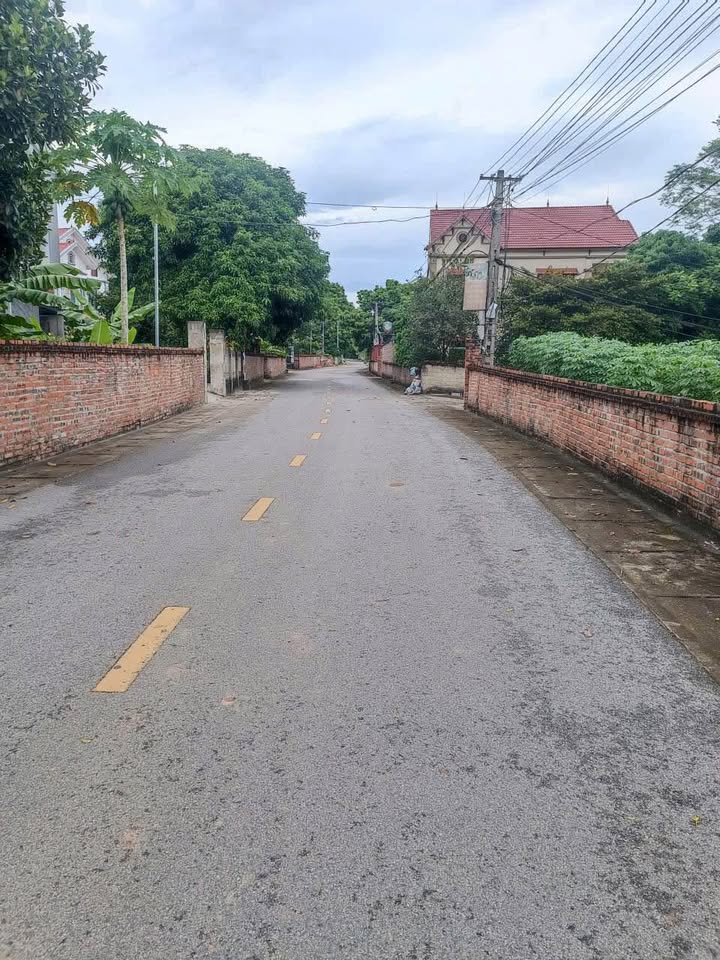 Đất thổ cư Chính chủ bán tại Thanh Đình, Việt Trì - 216m² giá 2.45 tỷ, vị trí đắc địa!