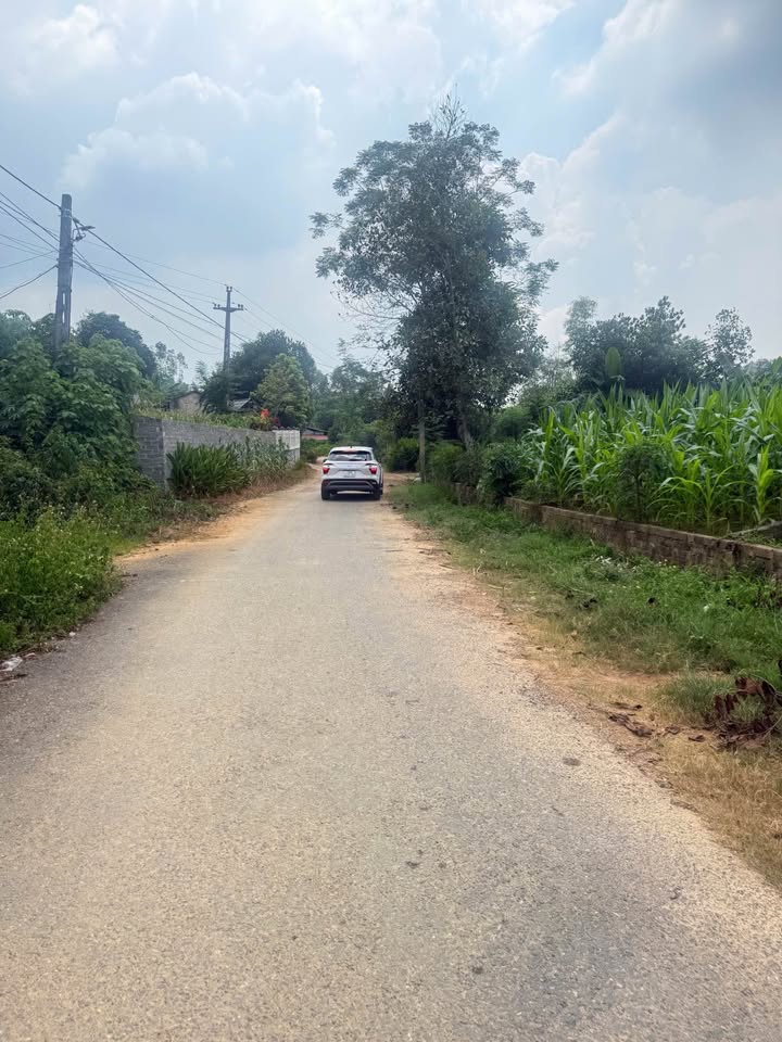 Đất nền khu phố 2, phường Phong Châu, 138m² - Giá chỉ 1 tỷ VND!