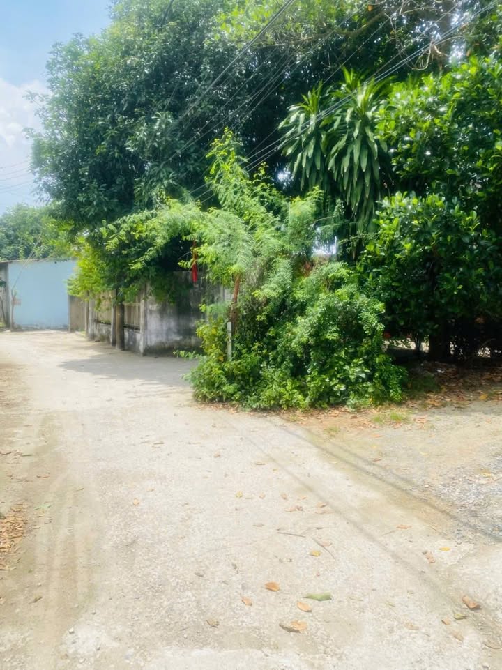 Đất nền Trấn Biên, Biên Hòa 72m² giá 2 tỷ - Sổ hồng riêng, khu vực trung tâm!