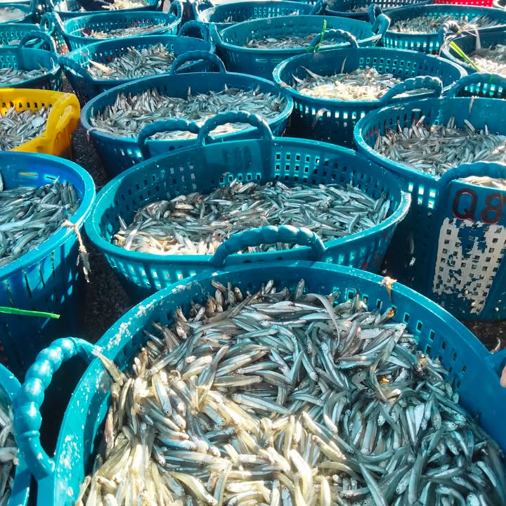 Đất nông nghiệp 3600m² tại Ninh Hà - Cơ hội đầu tư nghỉ dưỡng tuyệt vời!